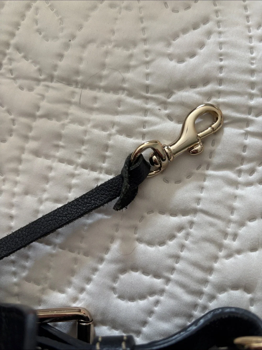 Dooney & Bourke Black Leather Hobo Shoulder Bag with Gold Plaque